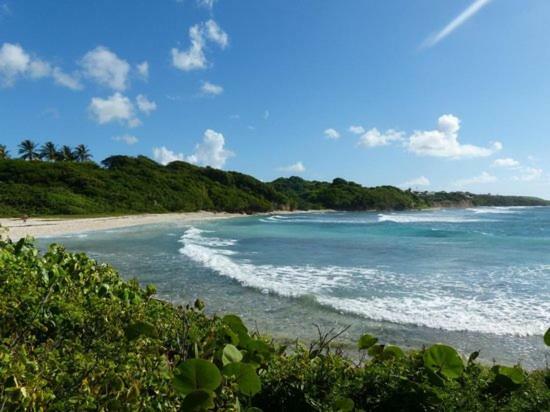 Bungalows Les Vagues Abondes Villa Sainte-Anne  Exterior foto